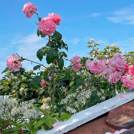 Vakantiehuis 6 Person In Otterup-by Traum Otterup