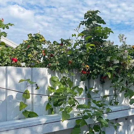 Vakantiehuis 6 Person In Otterup-by Traum *